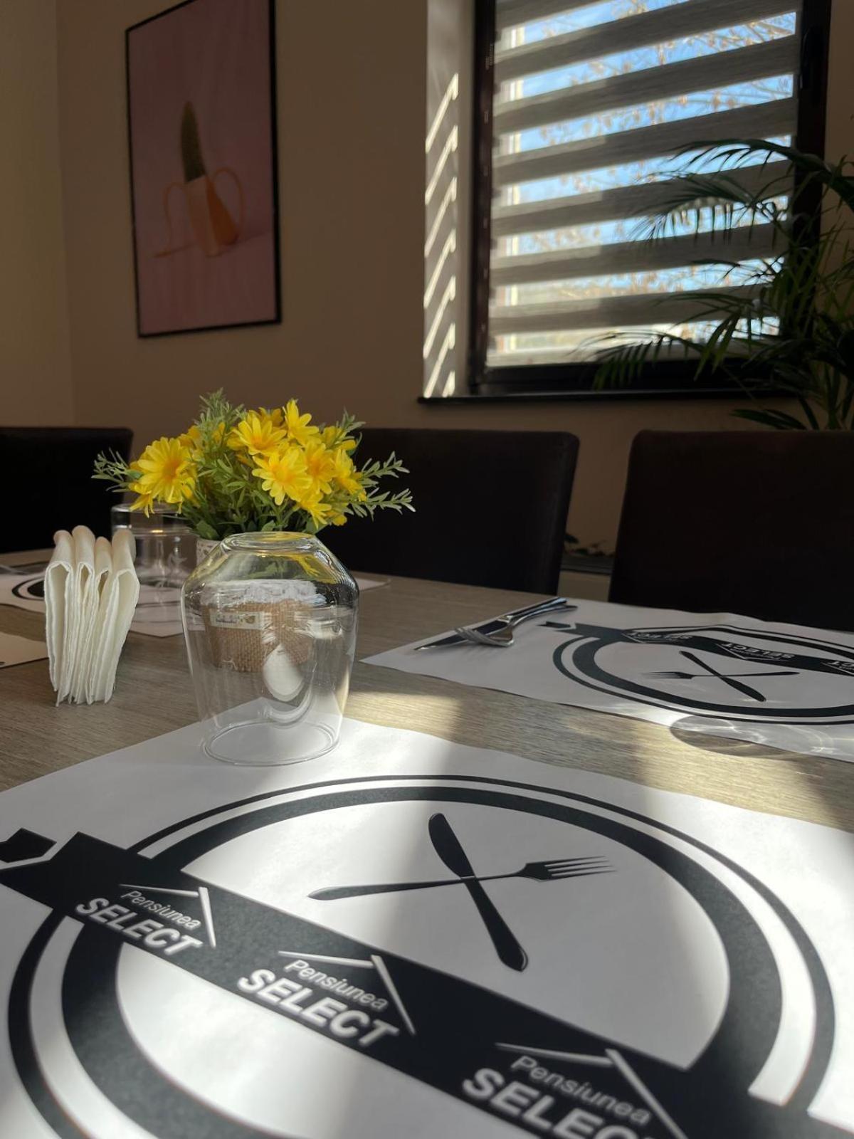 Pensiunea Select Central Târgu-Mureş エクステリア 写真